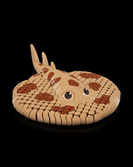 Lexi, Pisica de Mare Electrică