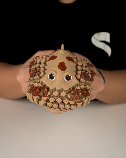 Lexi, Pisica de Mare Electrică