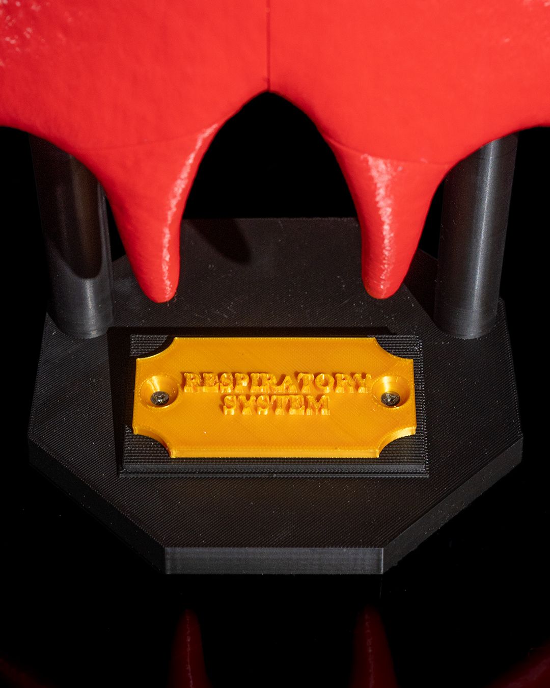 Sistemul Respirator