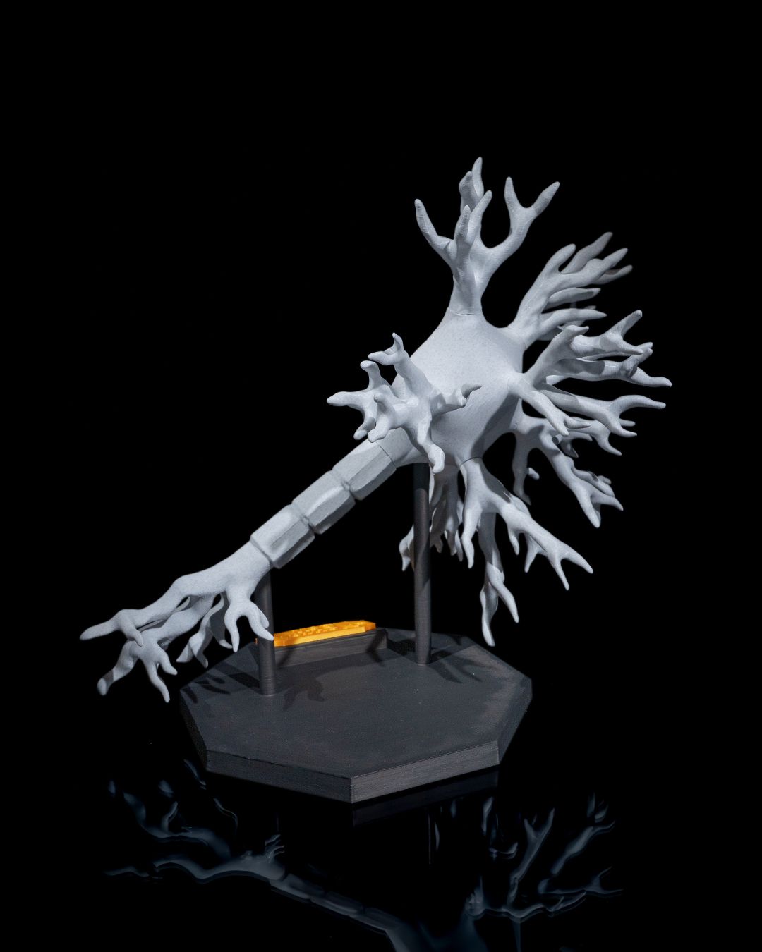 Neuronul