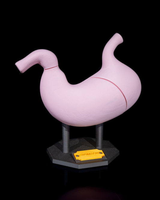 Stomacul