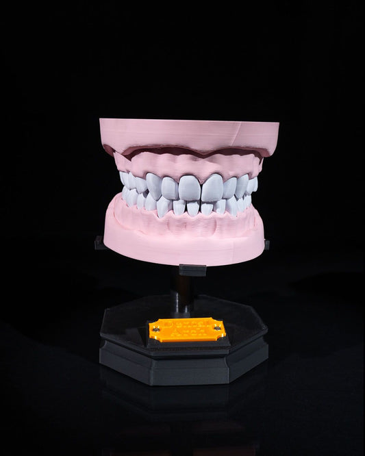 Arcadă Dentară