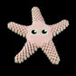 Sandy, Steaua de Mare