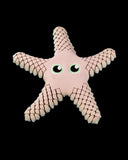 Sandy, Steaua de Mare