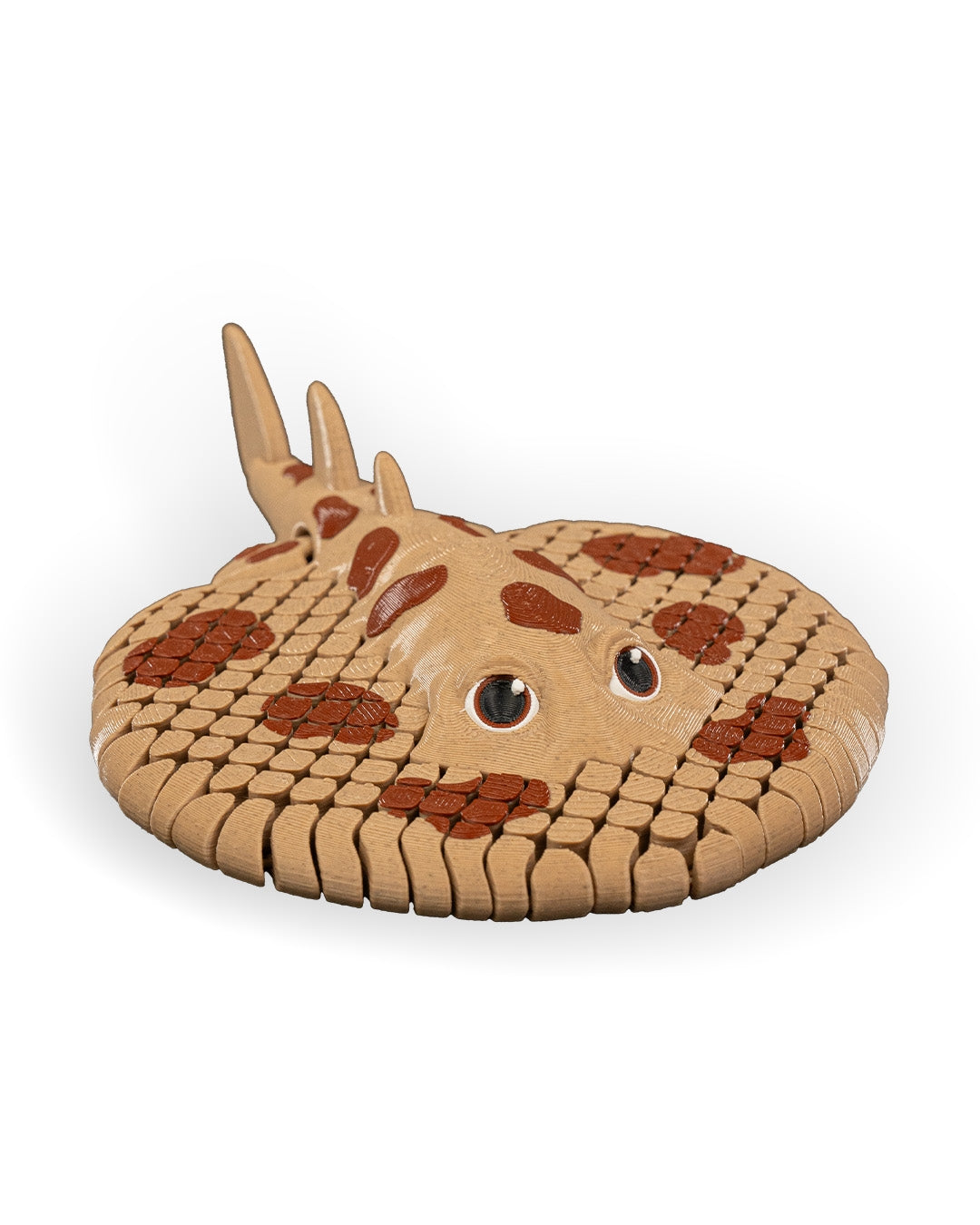 Lexi, Pisica de Mare Electrică