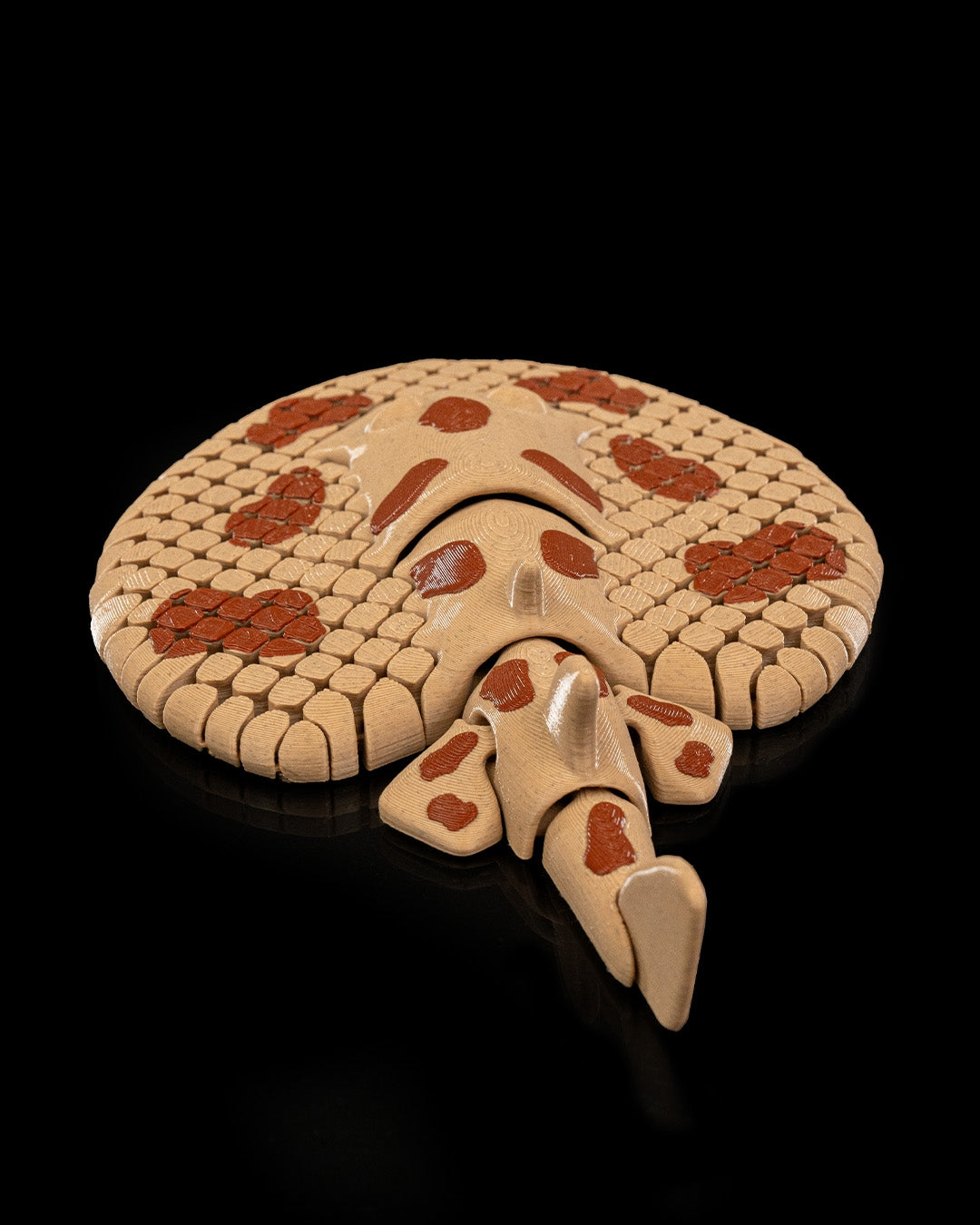 Lexi, Pisica de Mare Electrică