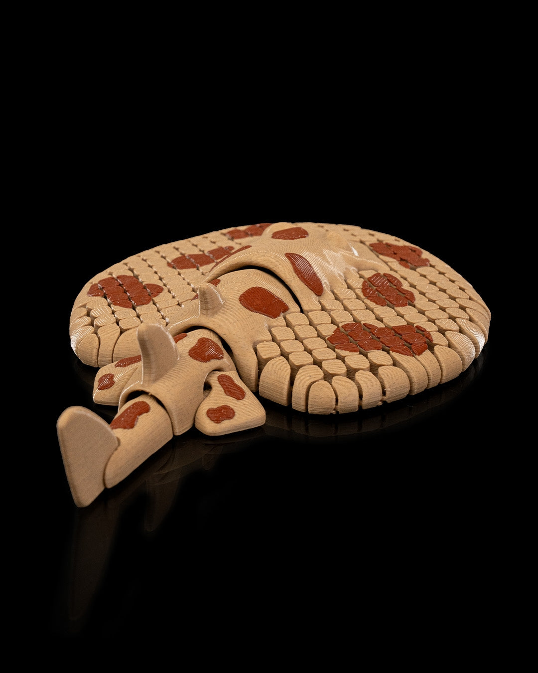 Lexi, Pisica de Mare Electrică