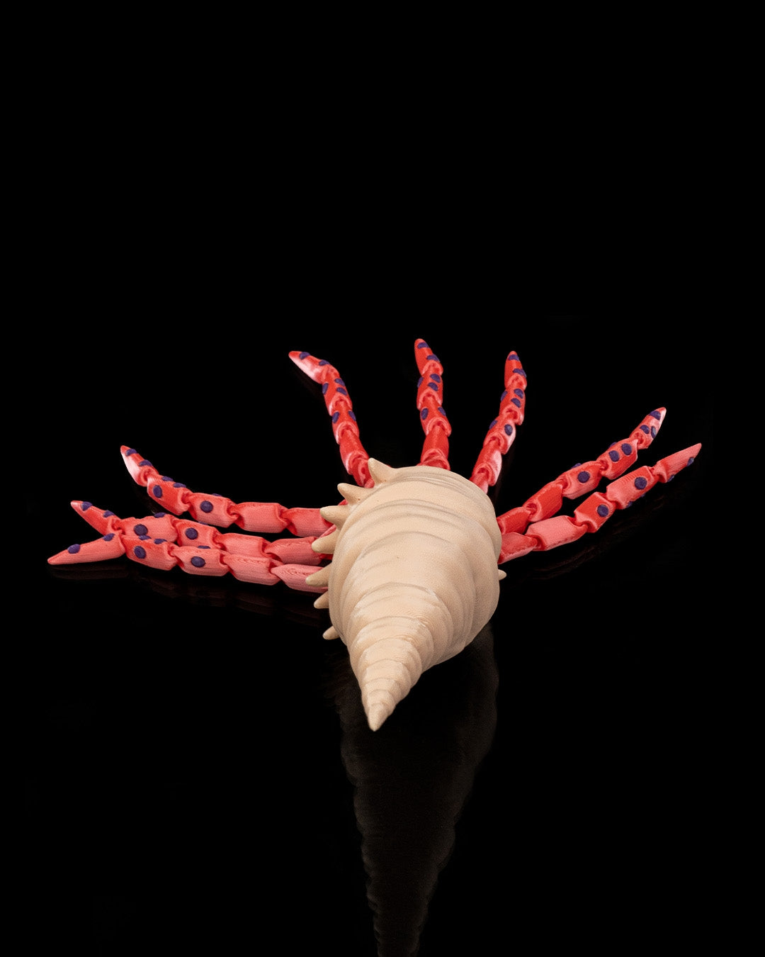 Finn, Calamarul Tigru