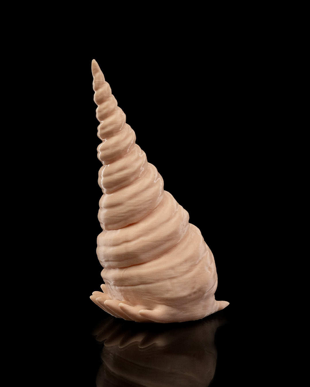 Finn, Calamarul Tigru