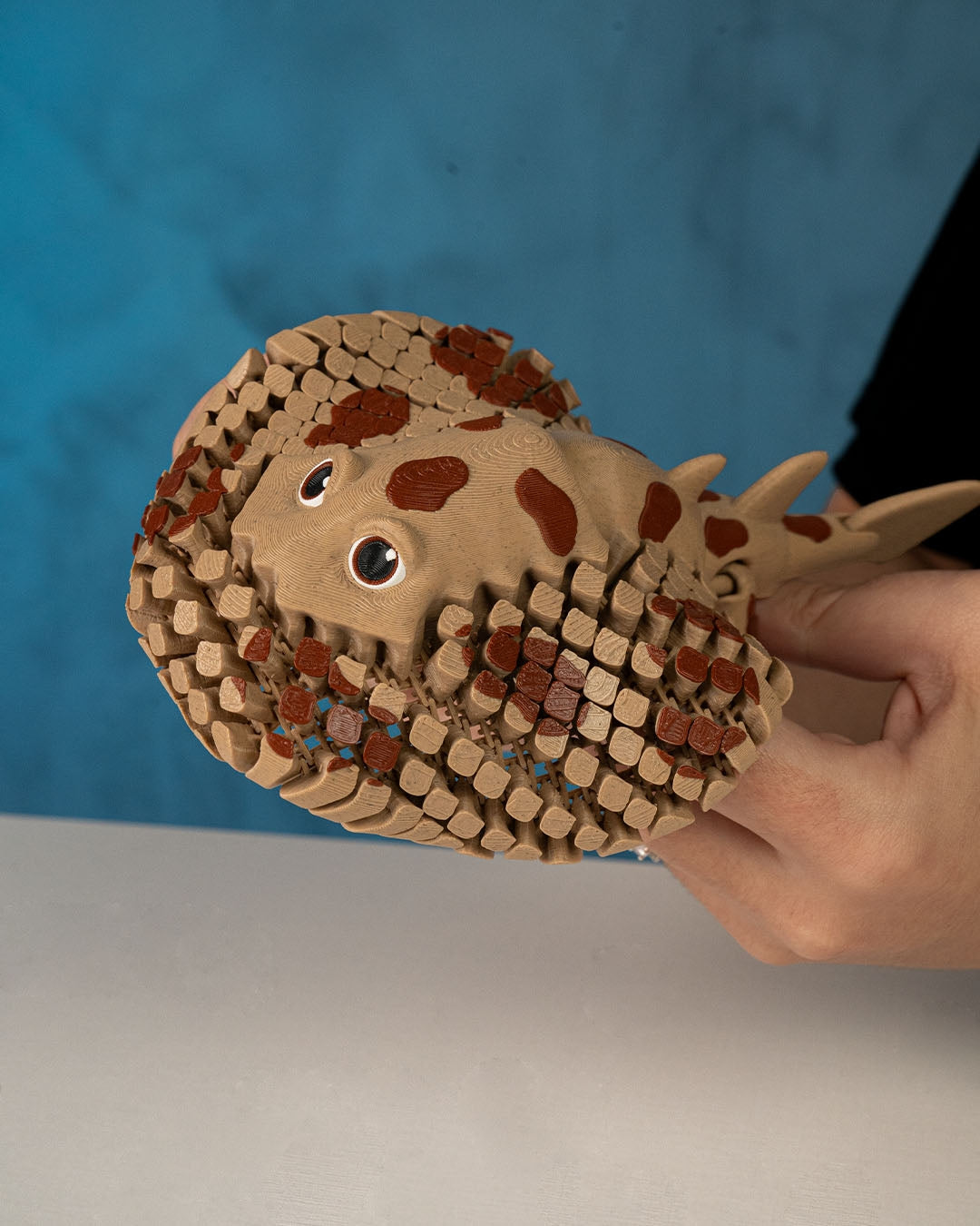 Lexi, Pisica de Mare Electrică