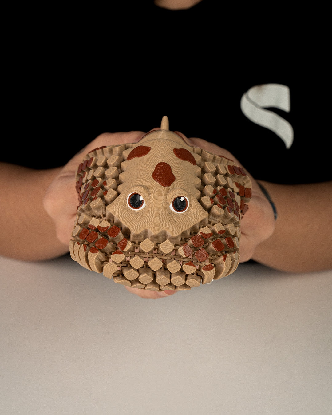 Lexi, Pisica de Mare Electrică