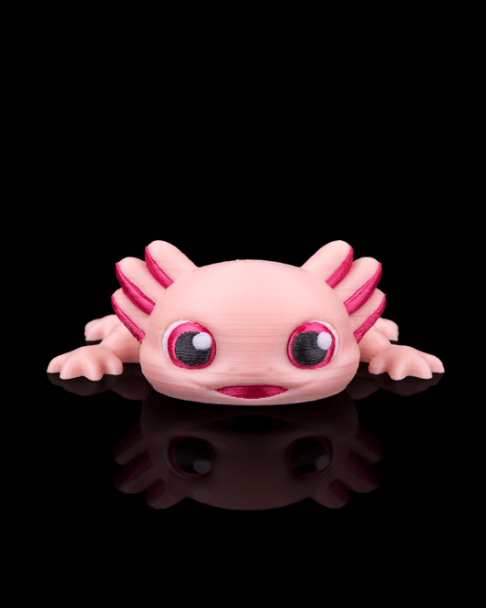 Ashley, Axolotl-ul