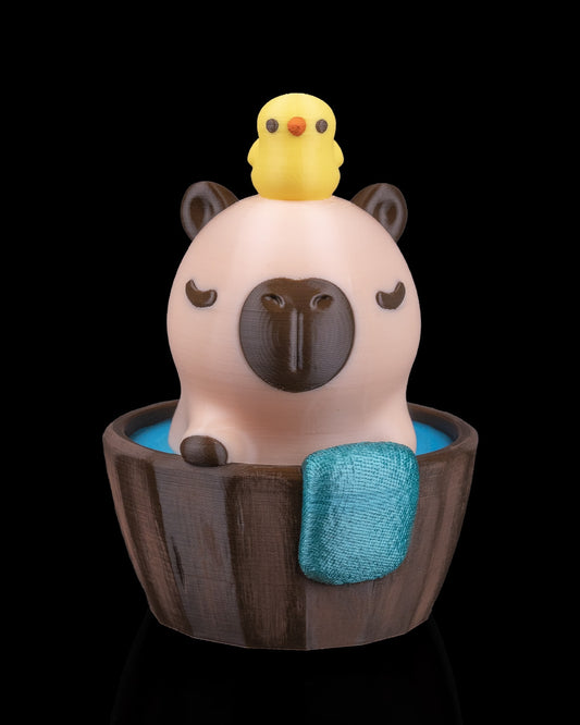 Capibara "Fără Apă Caldă"