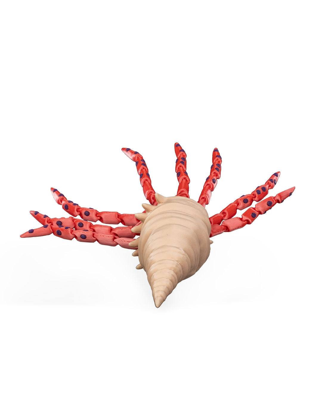 Finn, Calamarul Tigru