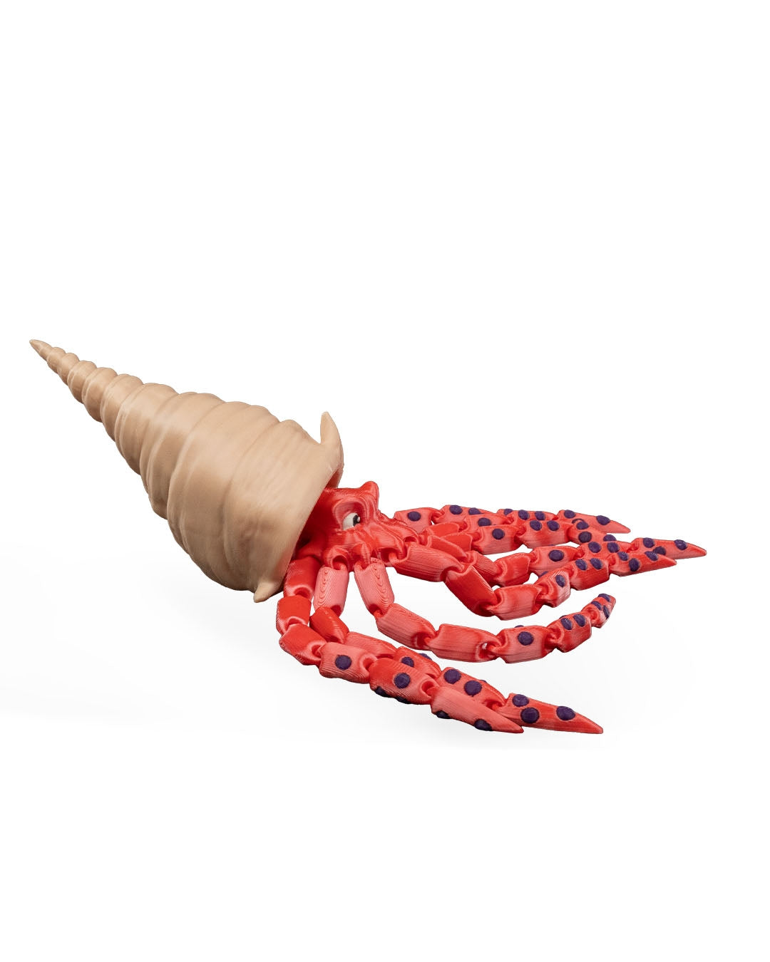 Finn, Calamarul Tigru