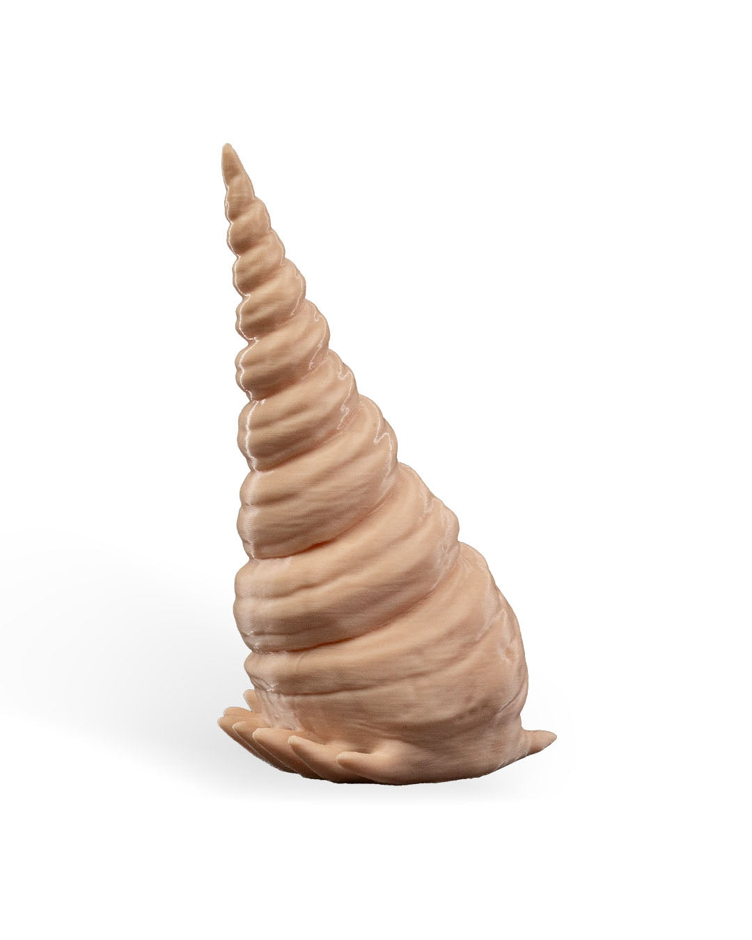 Finn, Calamarul Tigru