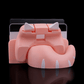 Protecție Dock Kitty Loaf - Ediție Kawaii pentru Switch