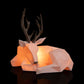 Ren Lowpoly - Decorațiune Luminoasă cu Design Minimalist