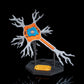Neuronul