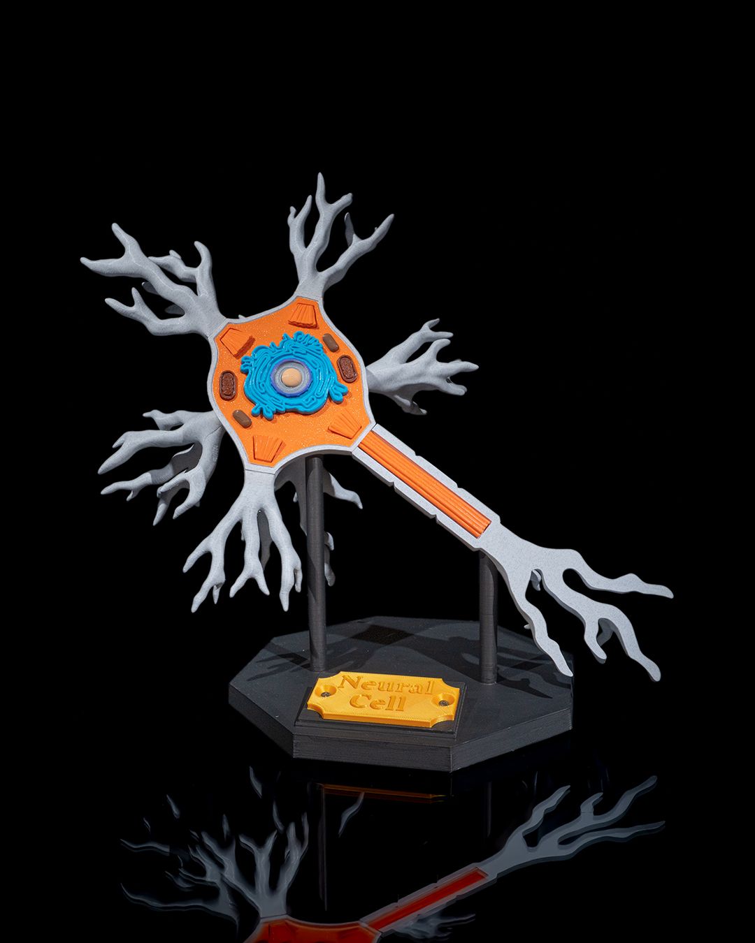 Neuronul
