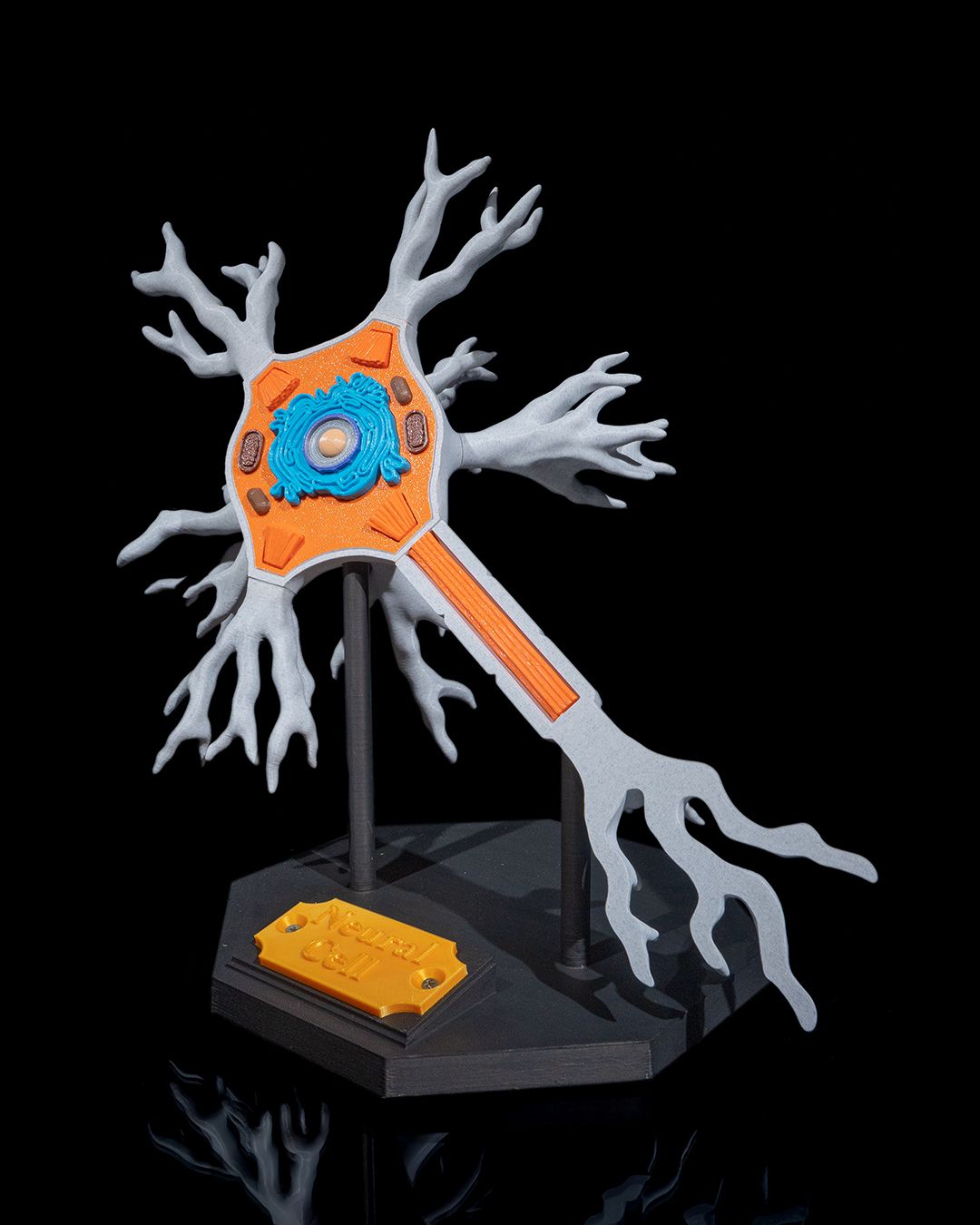 Neuronul