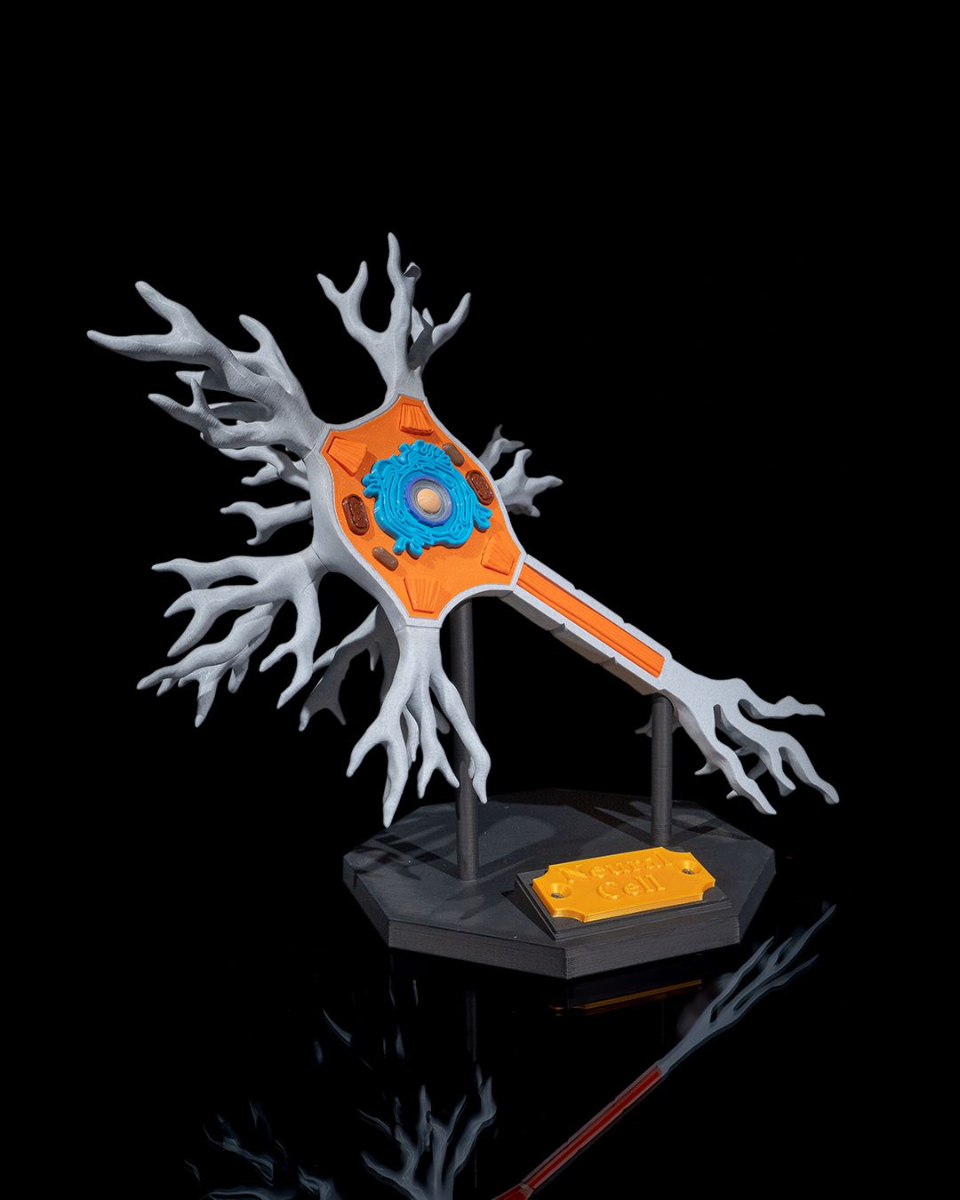 Neuronul