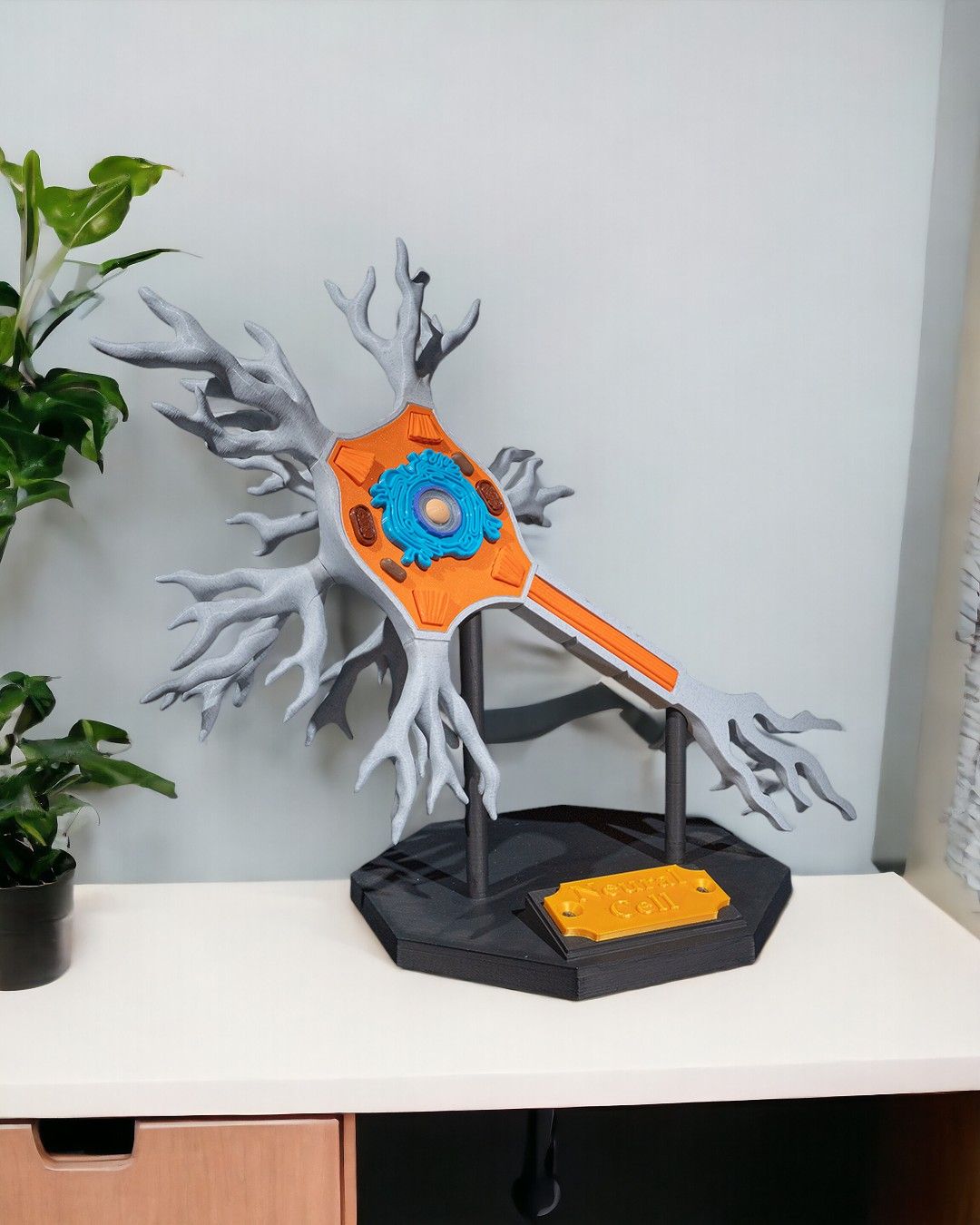Neuronul
