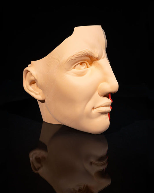 Nasul și Sinusurile