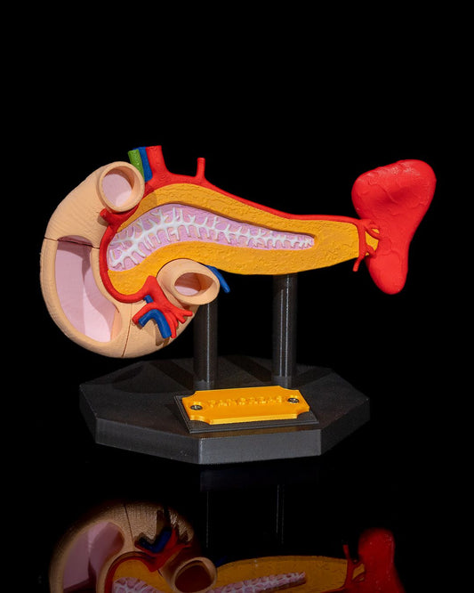 Pancreasul