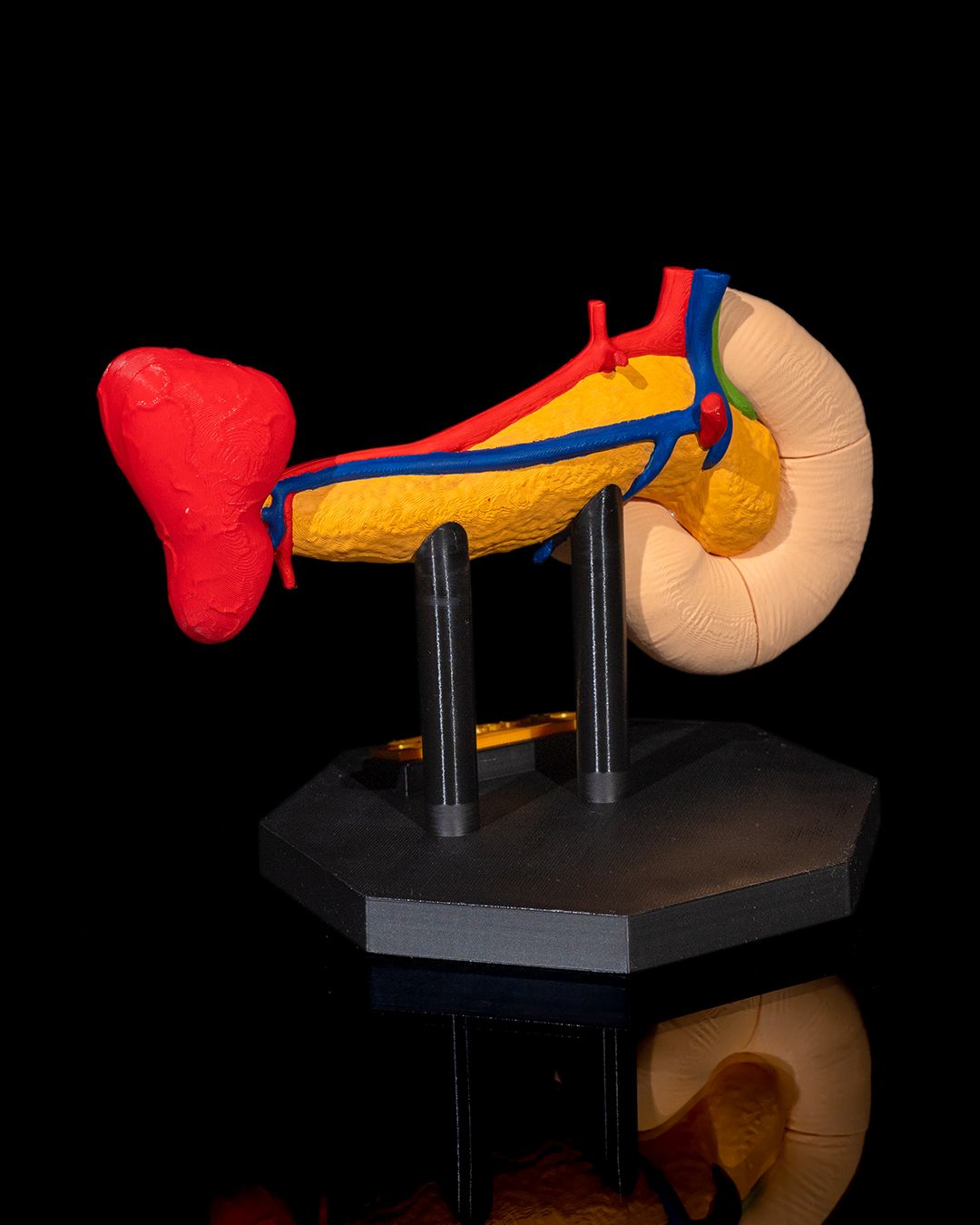 Pancreasul