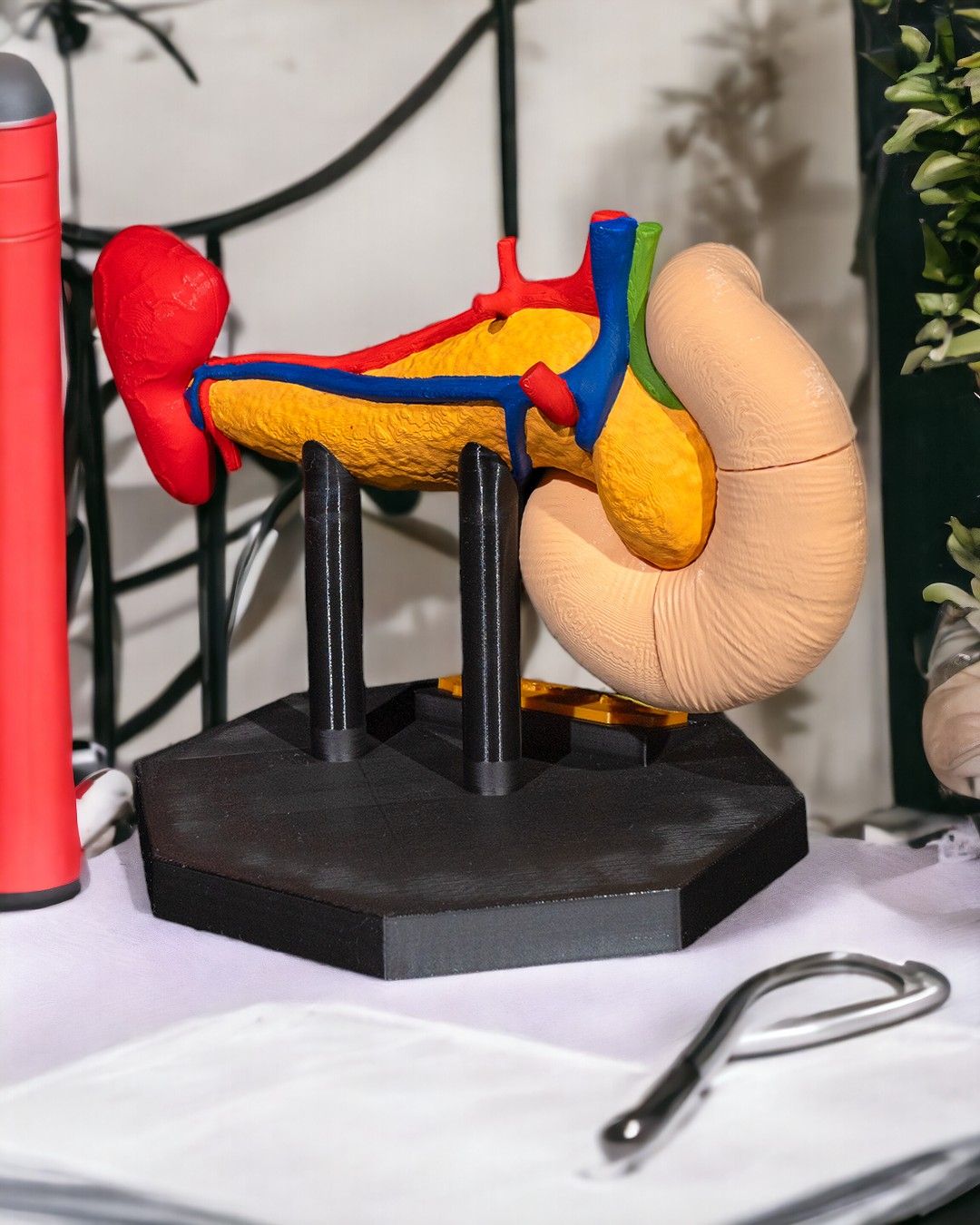 Pancreasul