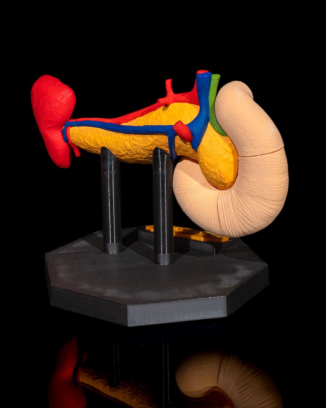 Pancreasul