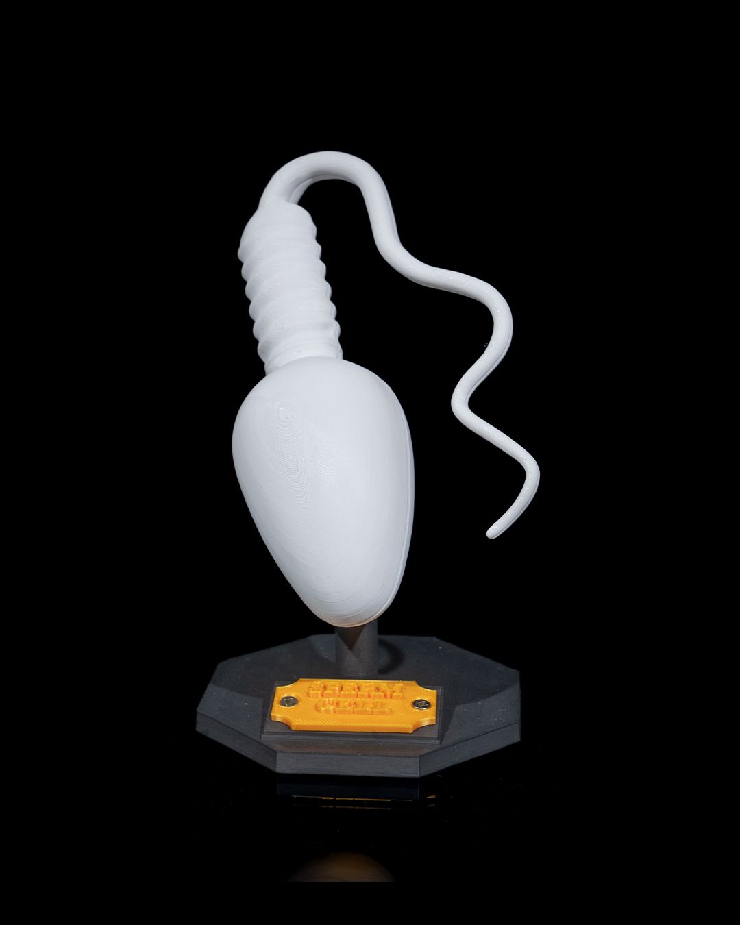 Spermatozoidul