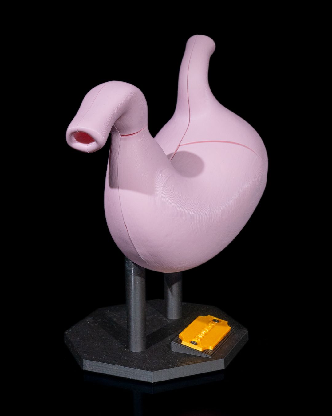 Stomacul