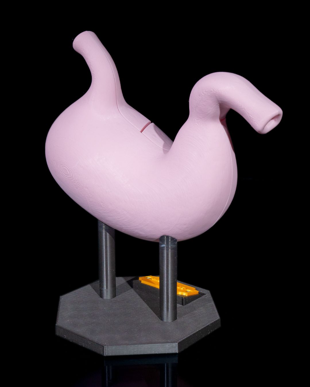 Stomacul