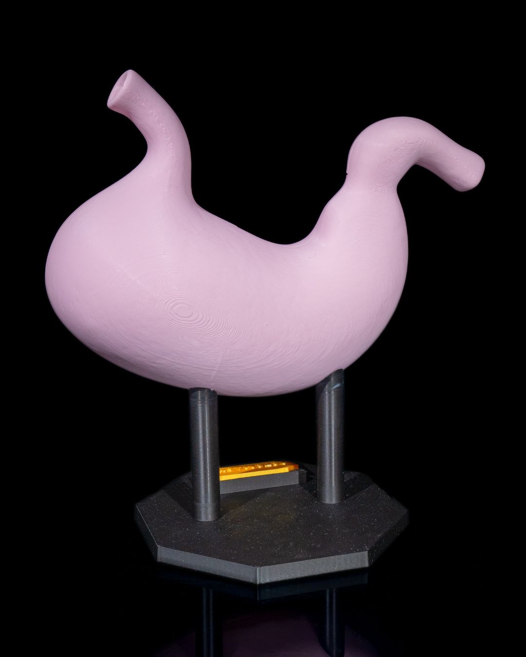 Stomacul