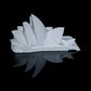 Opera din Sydney