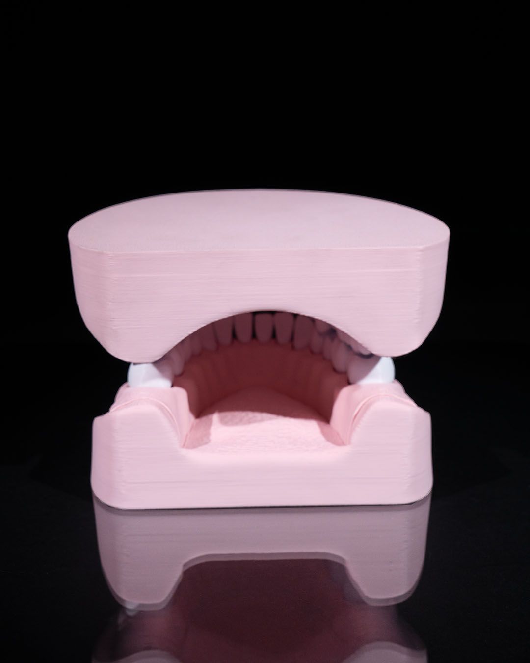 Arcadă Dentară