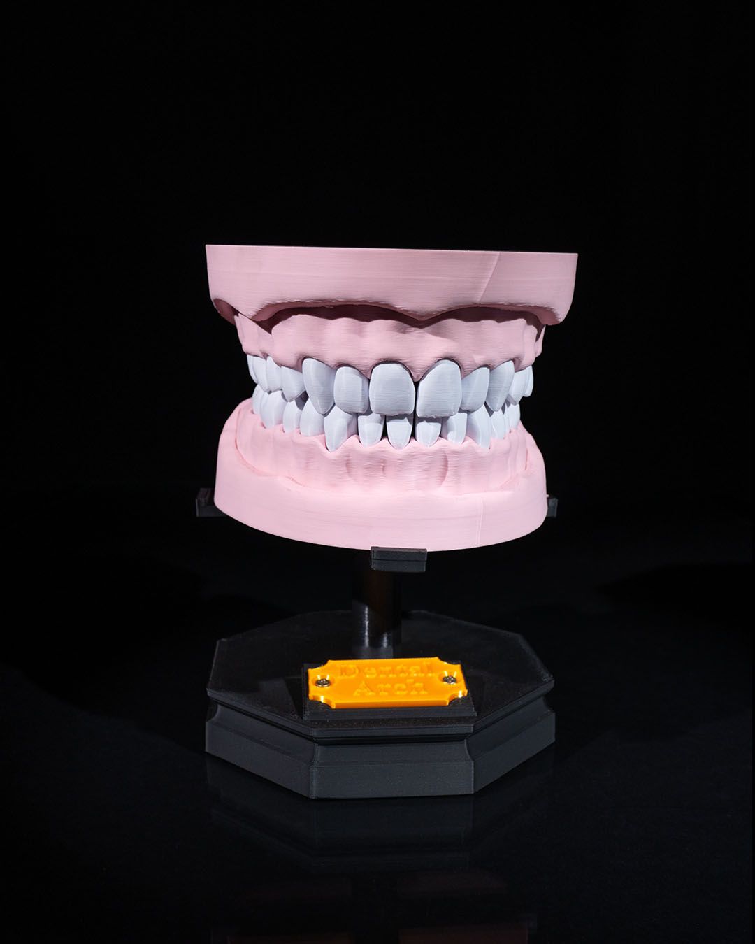 Arcadă Dentară