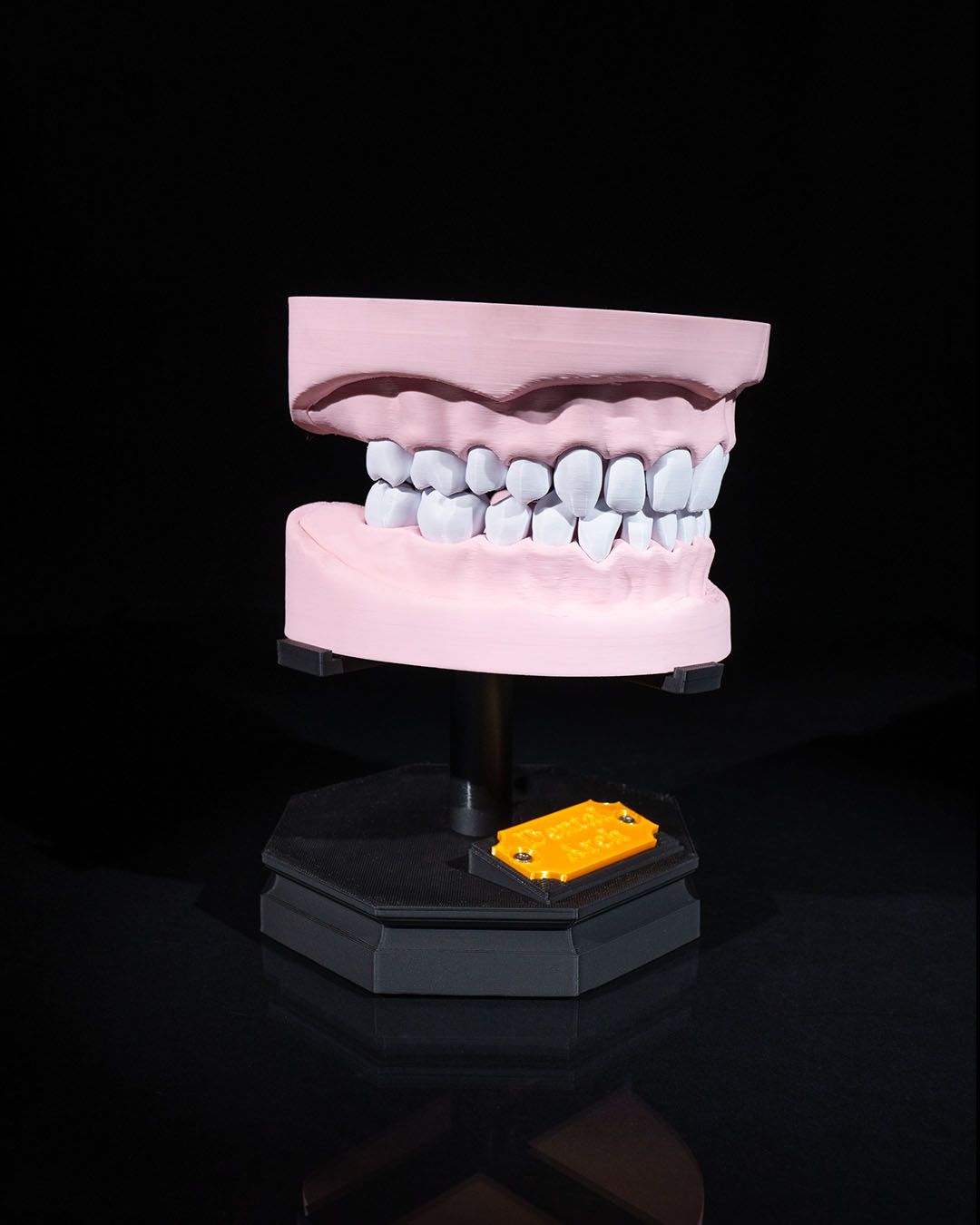 Arcadă Dentară