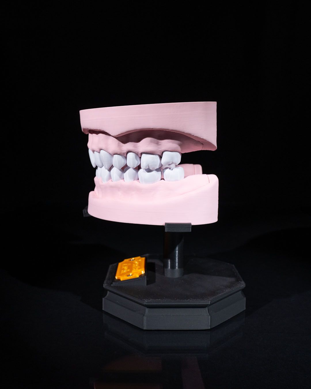 Arcadă Dentară