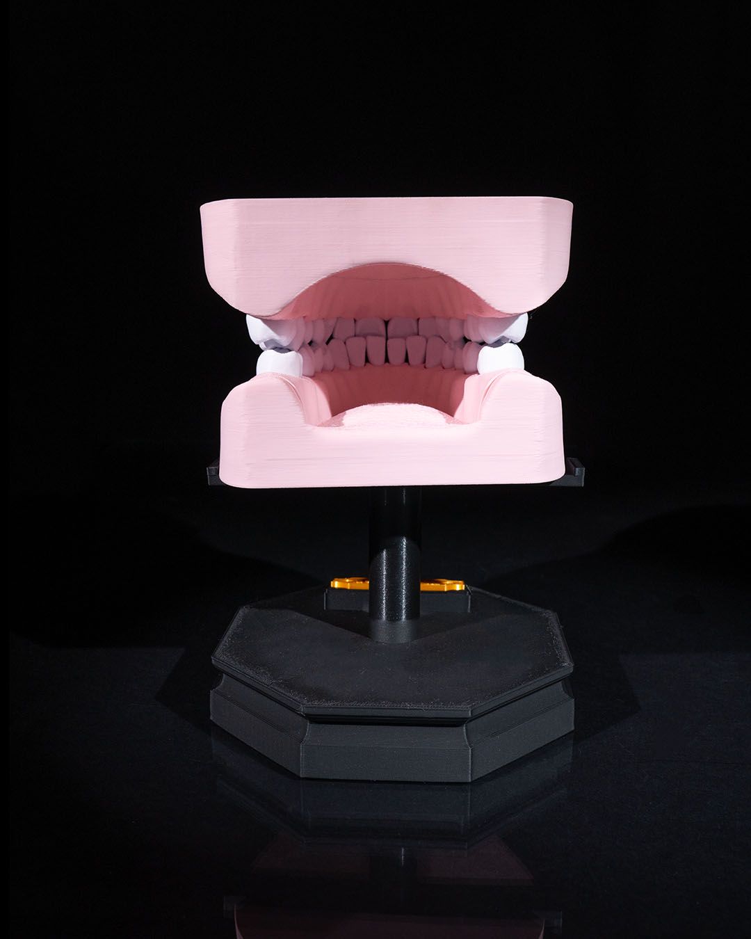 Arcadă Dentară