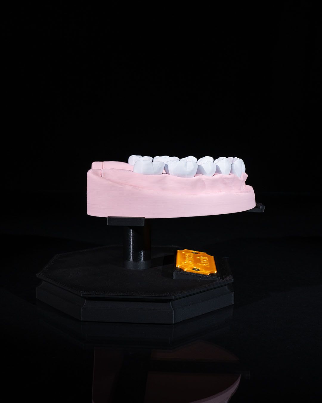 Arcadă Dentară