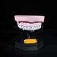Arcadă Dentară