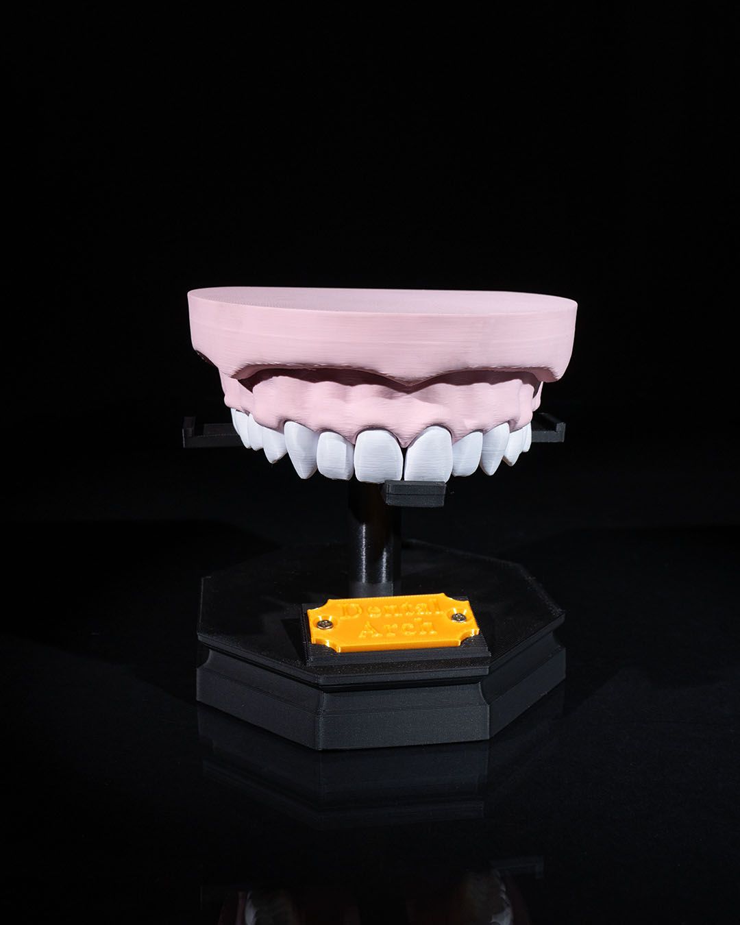 Arcadă Dentară