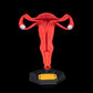 Uterul