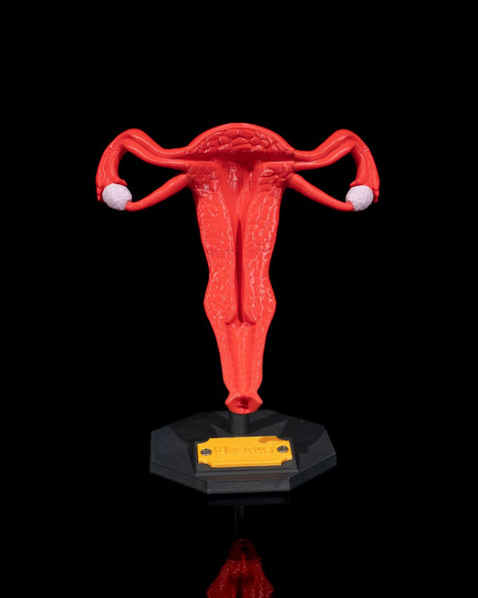 Uterul