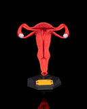 Uterul