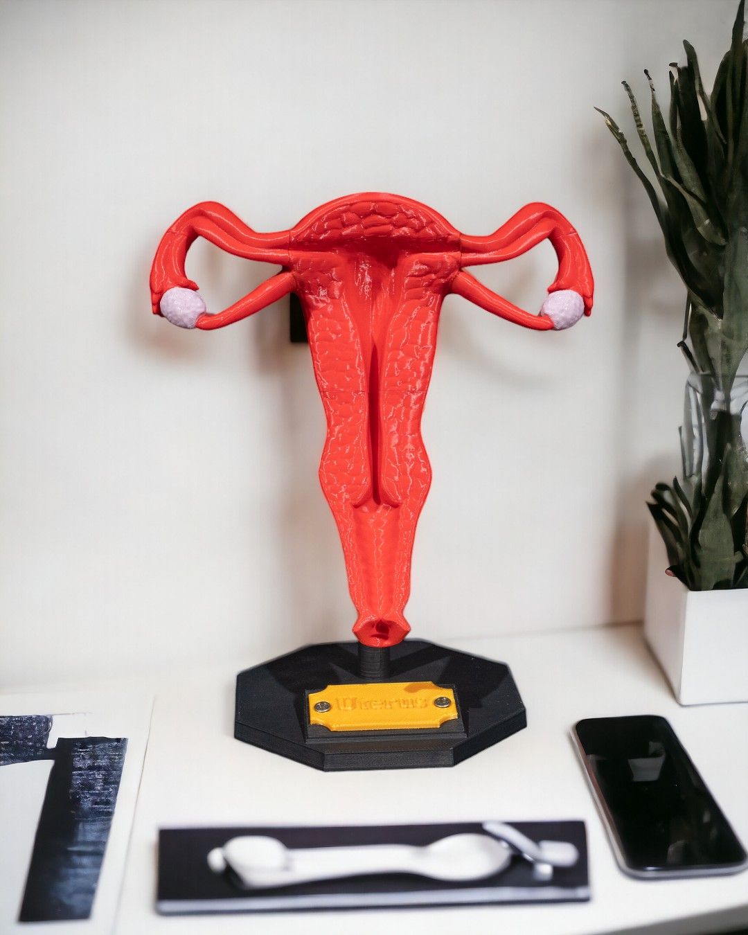 Uterul