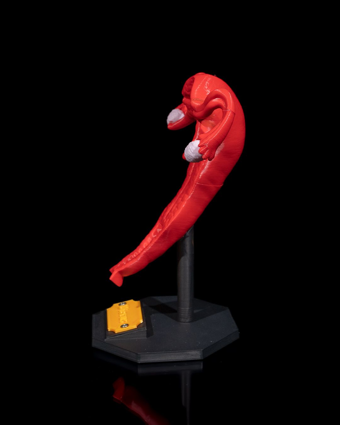 Uterul